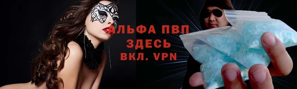 ПСИЛОЦИБИНОВЫЕ ГРИБЫ Вязьма