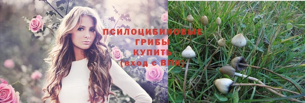 MDMA Premium VHQ Вяземский