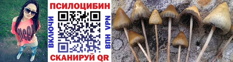 Псилоцибиновые грибы мухоморы  Назарово 