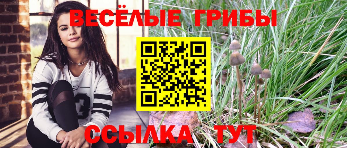 Галлюциногенные грибы GOLDEN TEACHER  Вход с VPN  Галлюциногенные грибы GOLDEN TEACHER  Назарово 