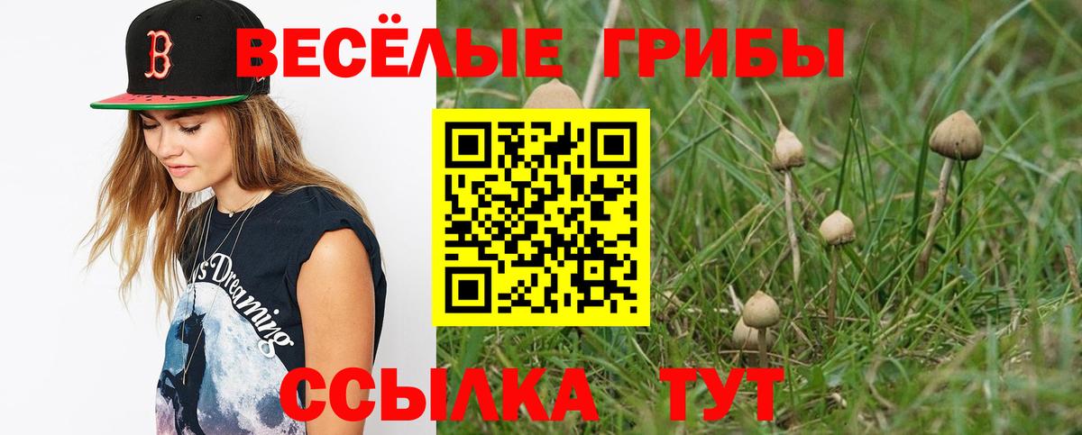 Псилоцибиновые грибы GOLDEN TEACHER Назарово